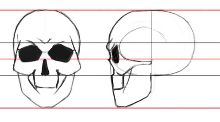 Череп пошагово карандашом