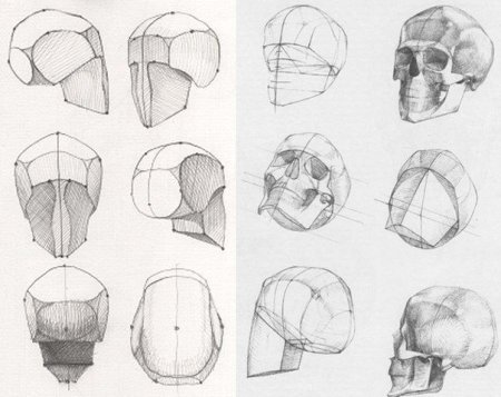 Построение головы человека Баммес