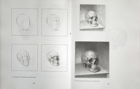 Череп вид сбоку Академический рисунок