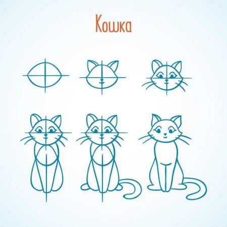 Этапы рисования кота