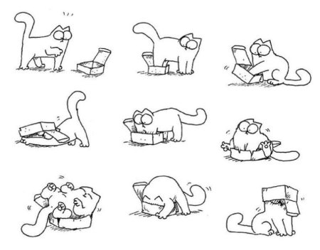 Этапы рисования кошки