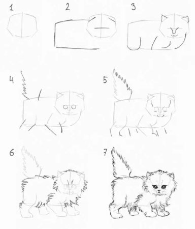 Кошка сбоку референс