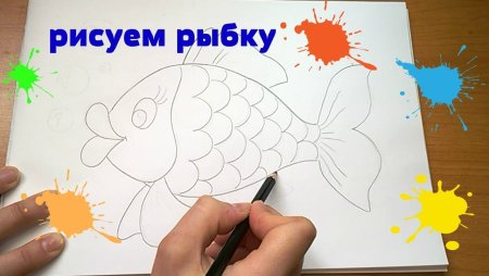 Рисование золотой рыбки пошагово