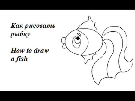 Золотая рыбка рисунок легко