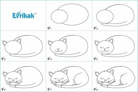 Учимся рисовать котенка