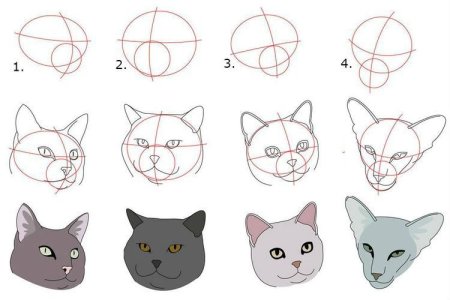 Этапы рисования кошки для дошкольников