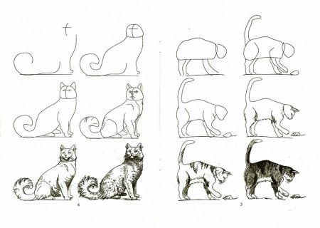Схема рисования кота для детей