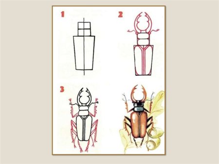 Жук олень рисунок для детей поэтапно