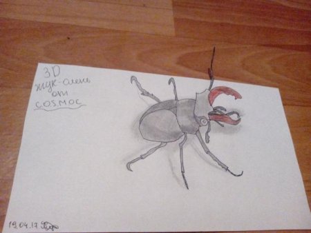 Поэтапное рисование насекомых