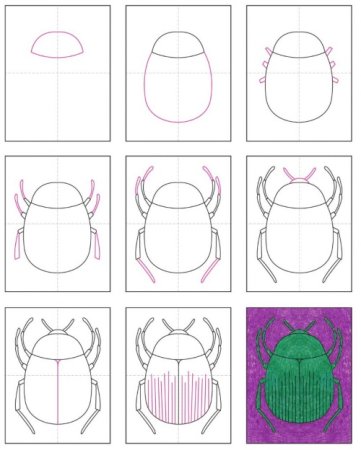 Жук олень карандашом