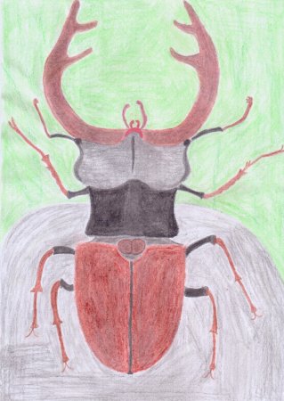 Нарисовать насекомое