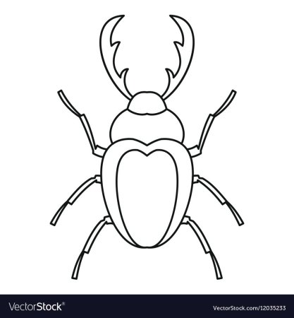 Как нарисовать жука карандашом поэтапно? | Искусство из насекомых, Рисовать, Жуки искусство