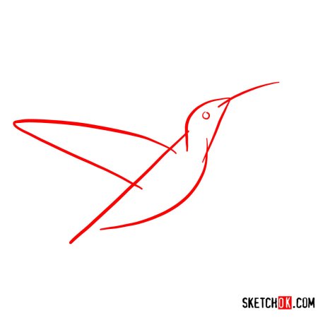 Поэтапное рисование птиц