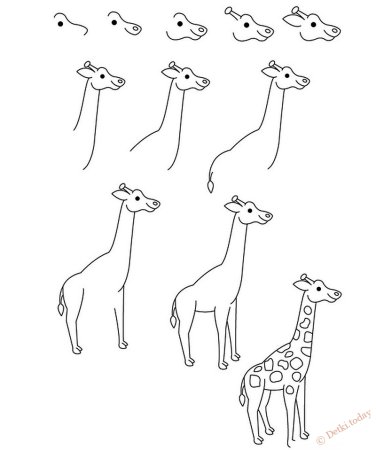 Поэтапное рисование жирафа для дошкольников