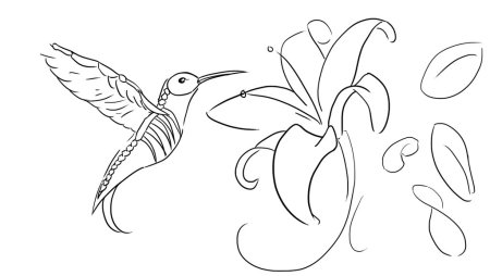 Птичка для срисовки карандашом и легкие