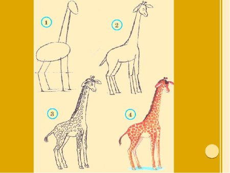 Поэтапное рисование жирафа для детей 5 лет