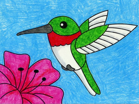 Нарисовать Колибри карандашом легко