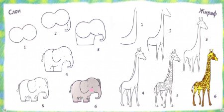 Поэтапное рисование жирафа