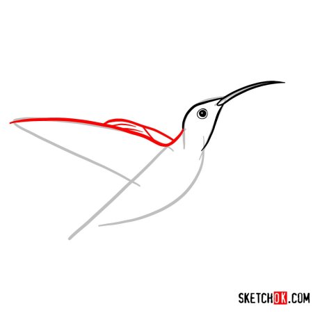 Колибри поэтапно