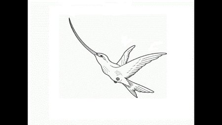 Детские рисунки Колибри