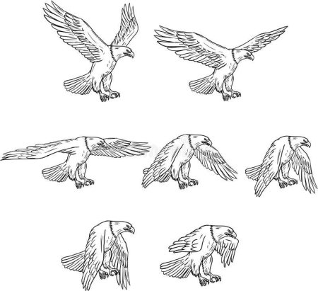 Коршун рисунок легкий