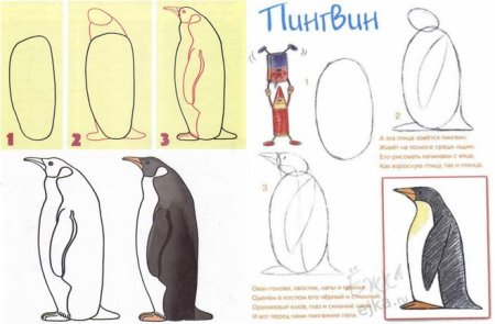 Пингвины рисование в средней