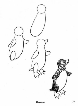 Пингвин пошаговое рисование