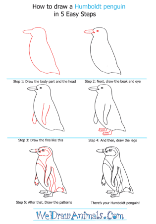 Пингвин рисунок карандашом поэтапно