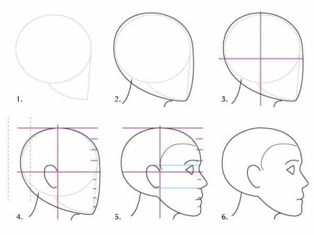 Схема построения головы сбоку