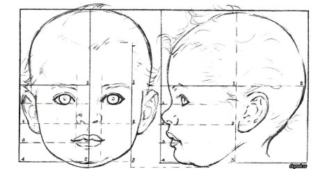 Построение портрета сбоку
