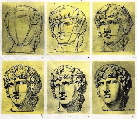 Рисование гипсовой головы Антиноя