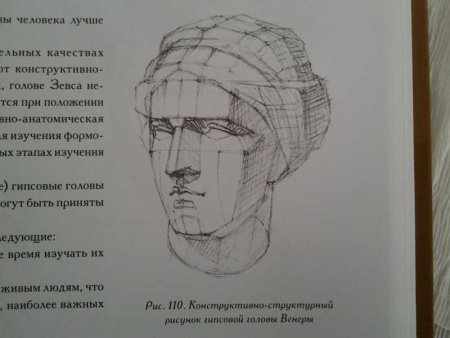 Рисунок головы человека