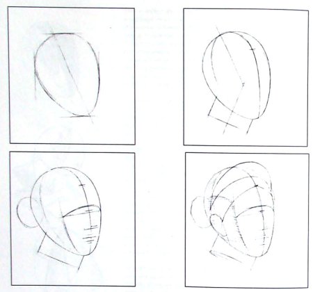 Рисунок поэтапно гипсовой головы (51 фото)