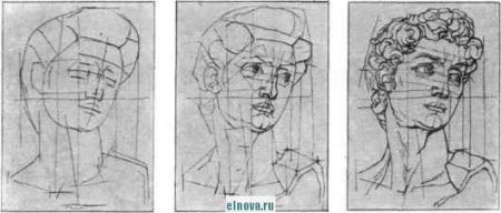 Давид рисунок гипсовой головы этапы