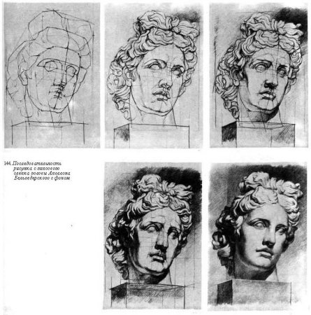 Аполлон Бельведерский голова гипс