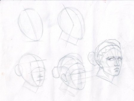 Поэтапное построение головы