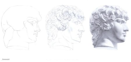 Рисунок головы Антиноя в МАРХИ