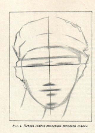 Этапы рисования гипсовой головы Дианы