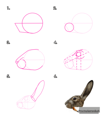 Пошаговое рисование кролика для детей
