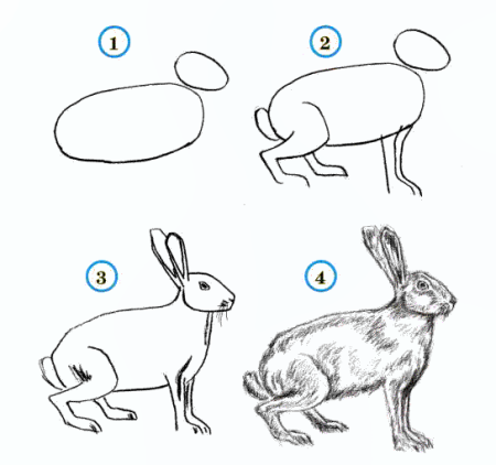 Нарисовать зайца