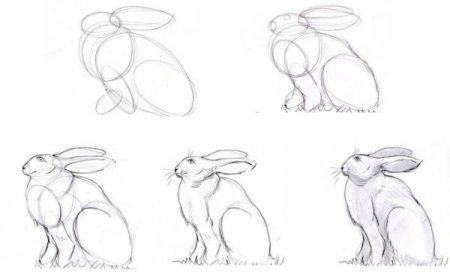 Поэтапное рисование кролика карандашом