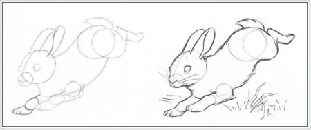 Поэтапное рисование зайчика
