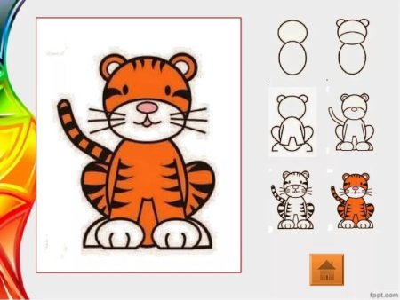 Поэтапное рисование тигра для детей