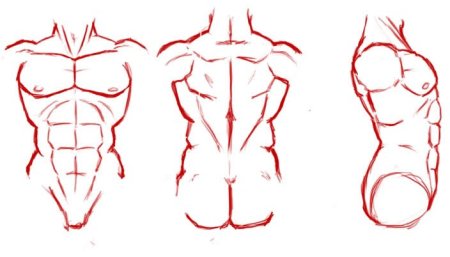 Накаченное тело карандашом