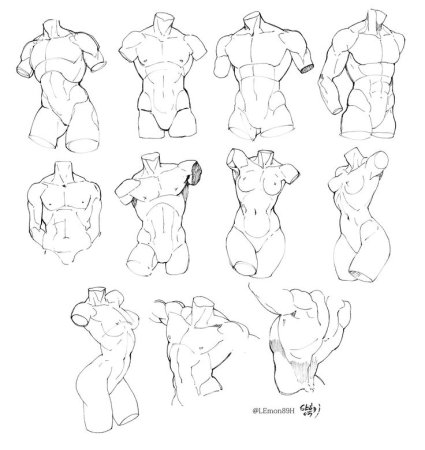 Торс референс снизу