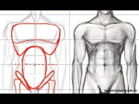 Мужское тело пошагово