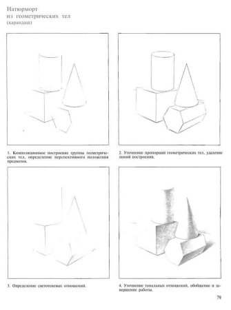Этапы построения натюрморта в рисунке