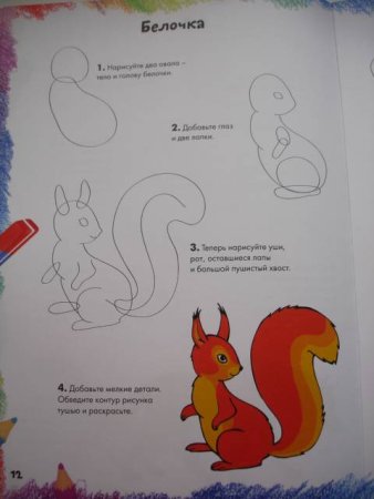 Рисование Белочка в старшей группе