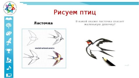 Ласточка на ветке поэтапное рисование для детей