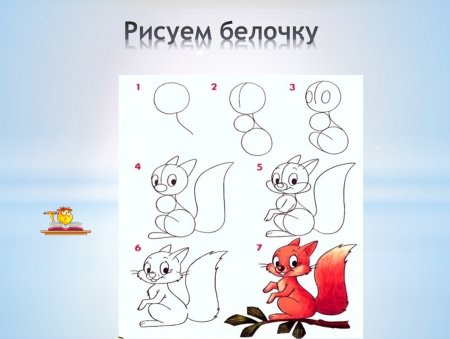 Рисование белки в средней группе